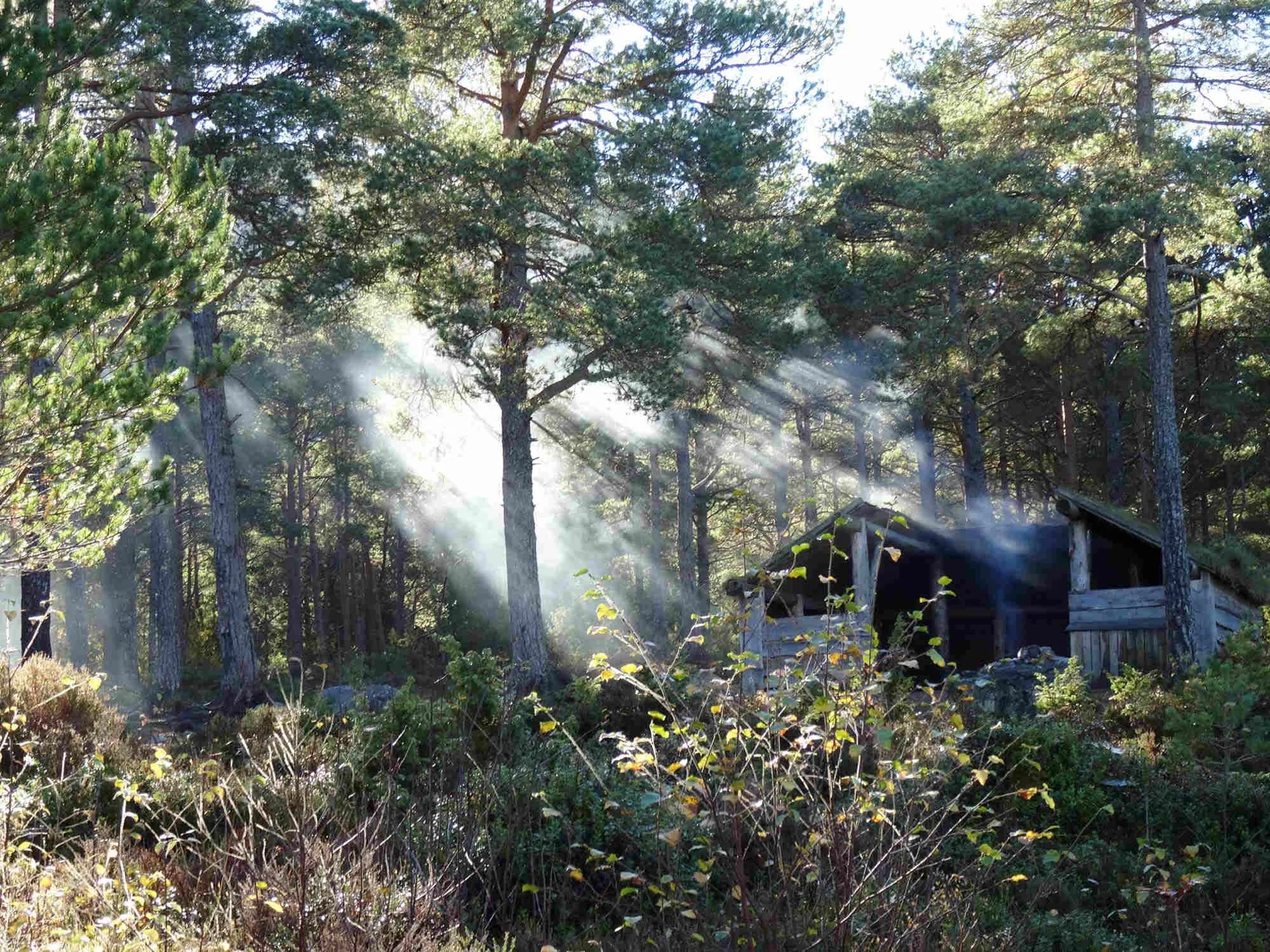 Vestnes Begravelsesbyrå